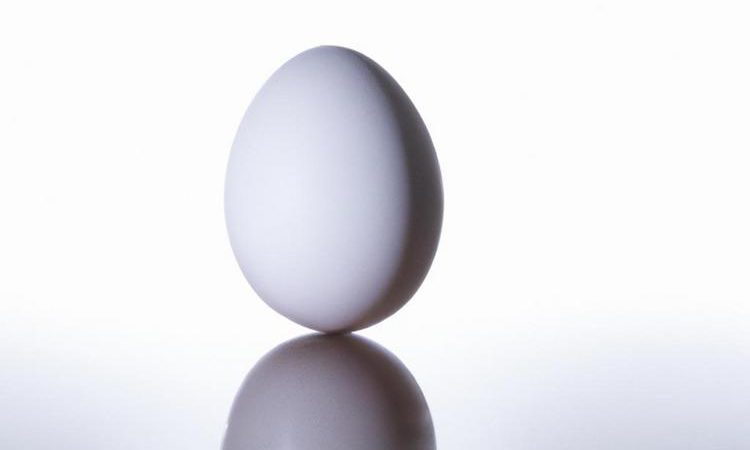 ile gram białka ma jajko